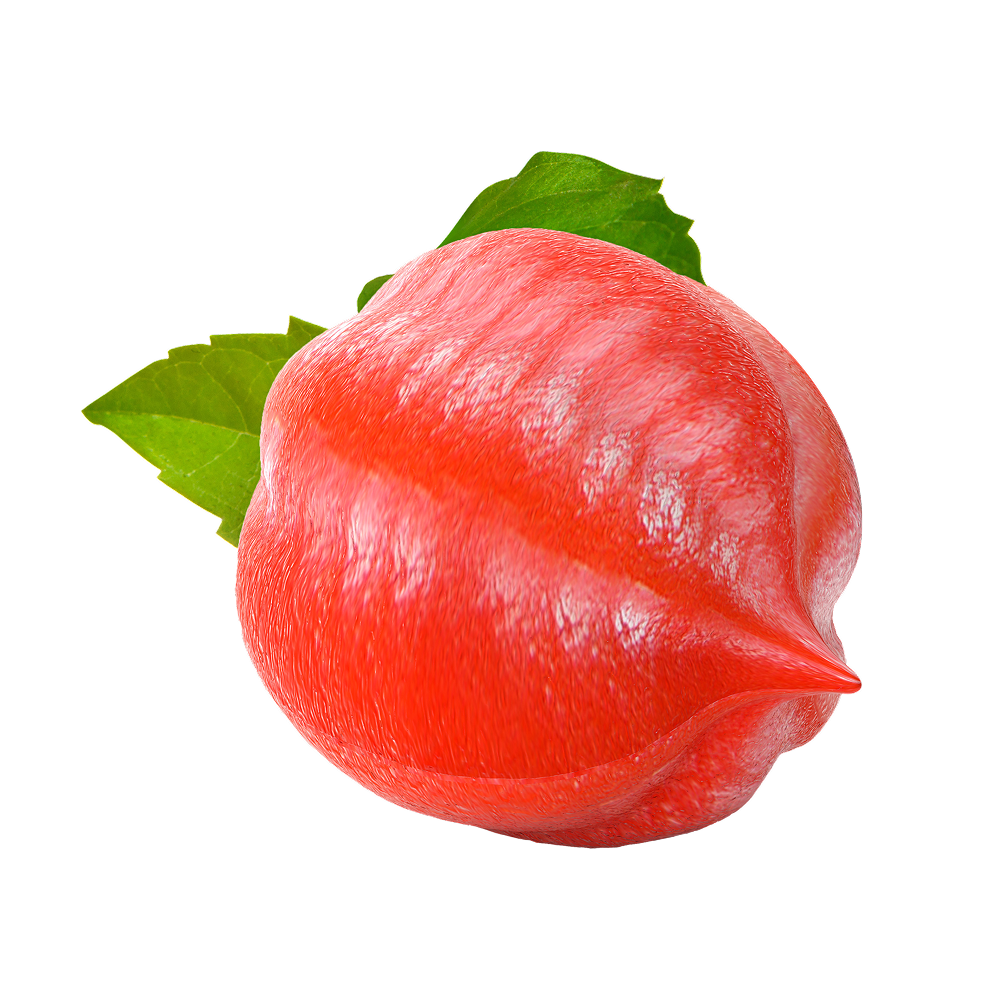 Εκχύλισμα γκουαρανά