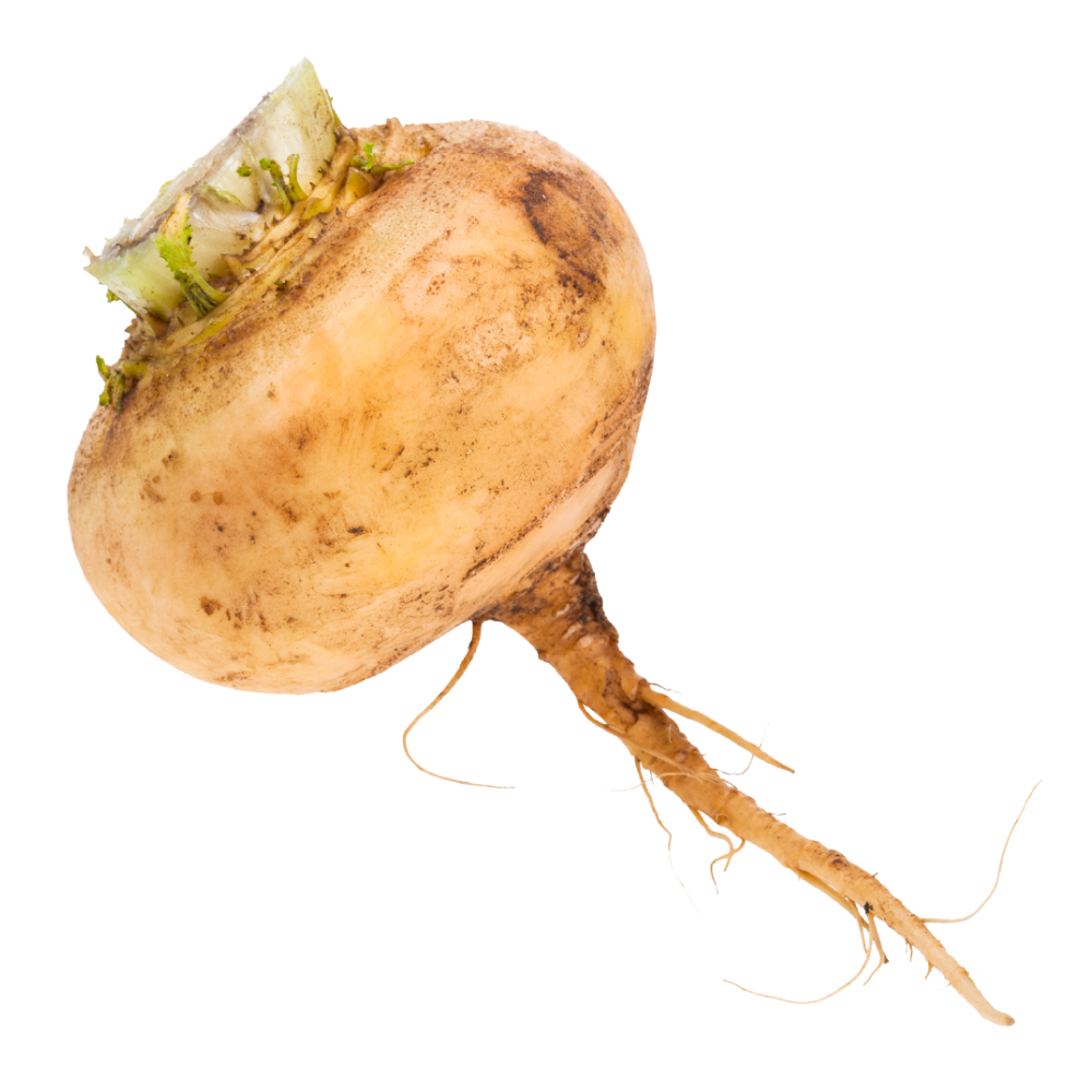 Εκχύλισμα μάκα