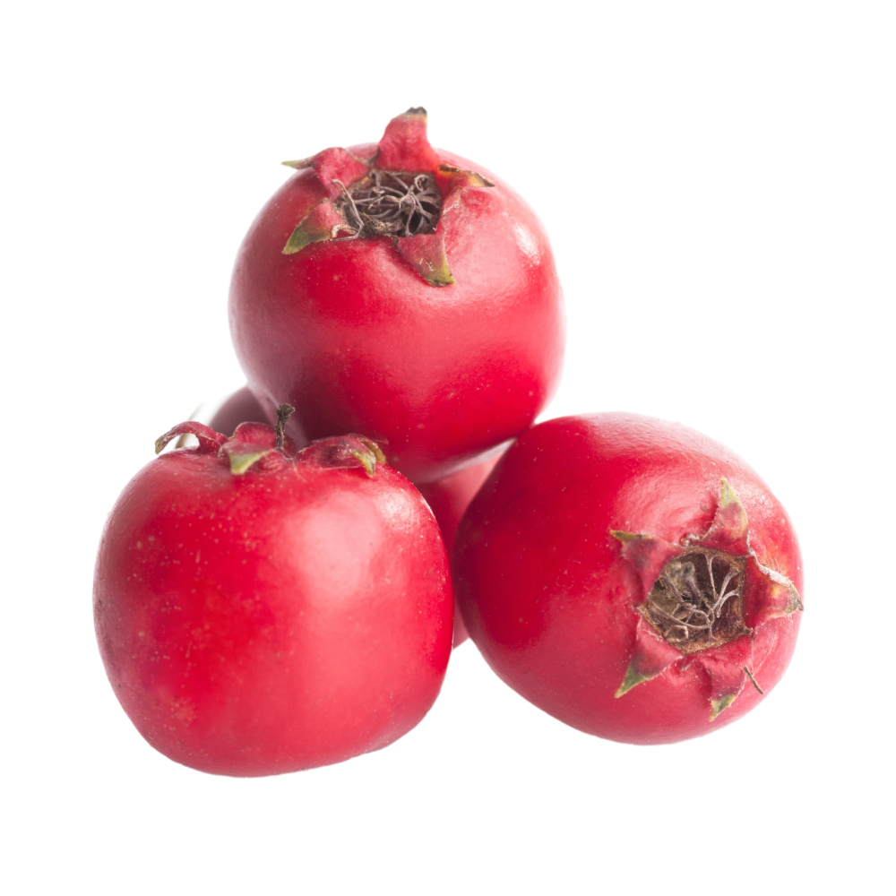 Εκχύλισμα κράταιγου