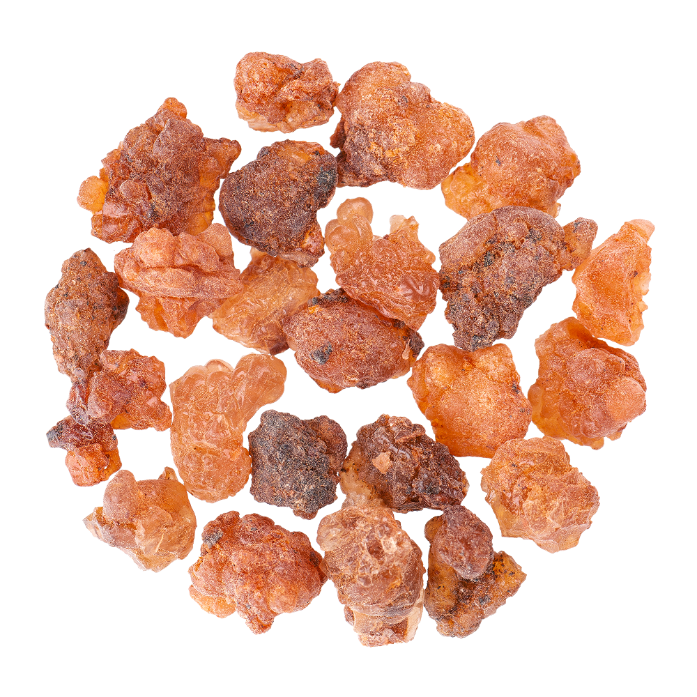 Ίνες ακακίας