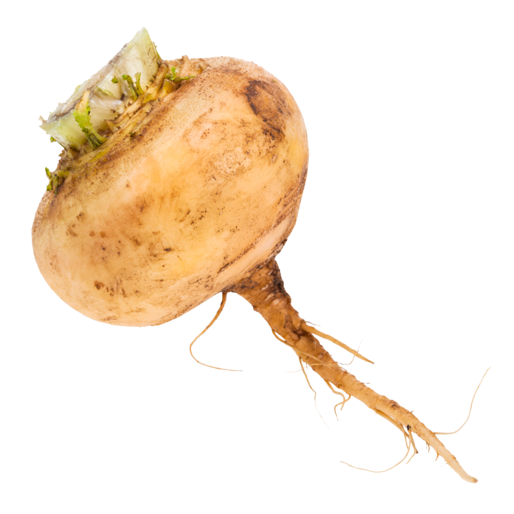 Εκχύλισμα μάκα